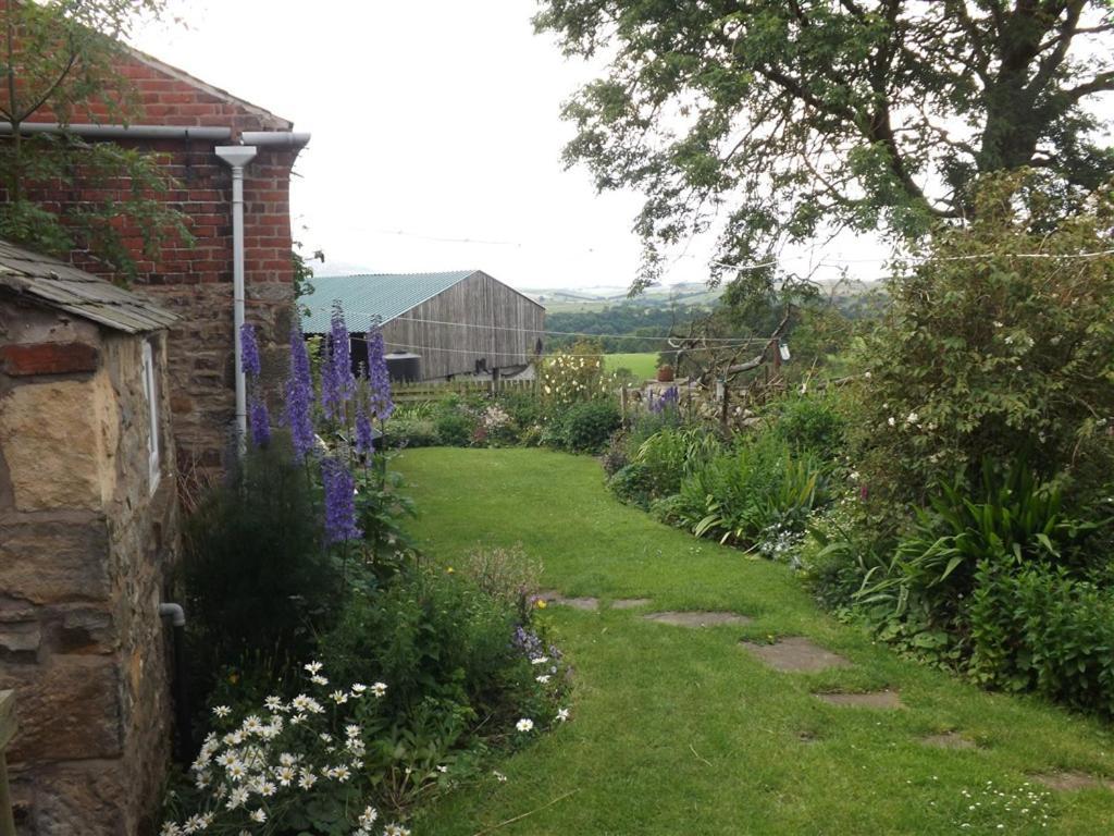 Hillis Close Farm Cottage Haltwhistle Bagian luar foto