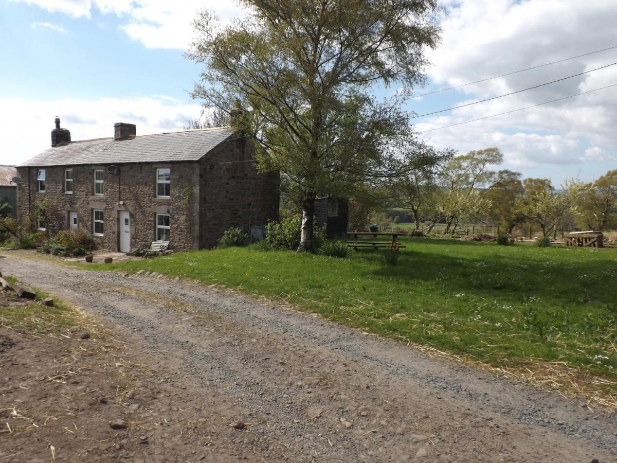 Hillis Close Farm Cottage Haltwhistle Bagian luar foto