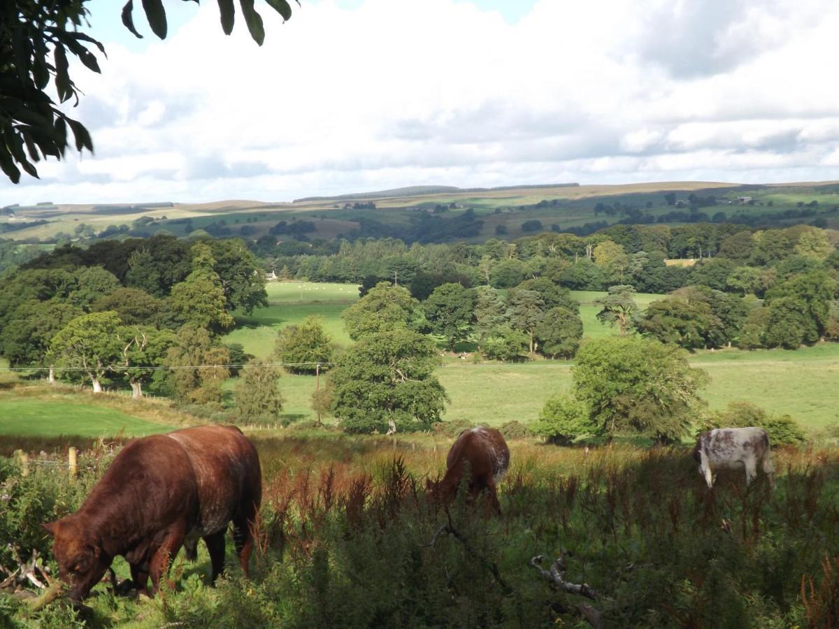 Hillis Close Farm Cottage Haltwhistle Bagian luar foto